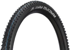 Schwalbe Pneu Souple Racing Ray Evolution ADDIX SpeedGrip Super Ground 27,5"