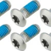 TRP Vis De Fixation En Titane Pour Disques De Frein